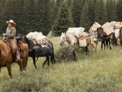 Yellowstone Horse & Mule: Bechler Trail Yellowstone